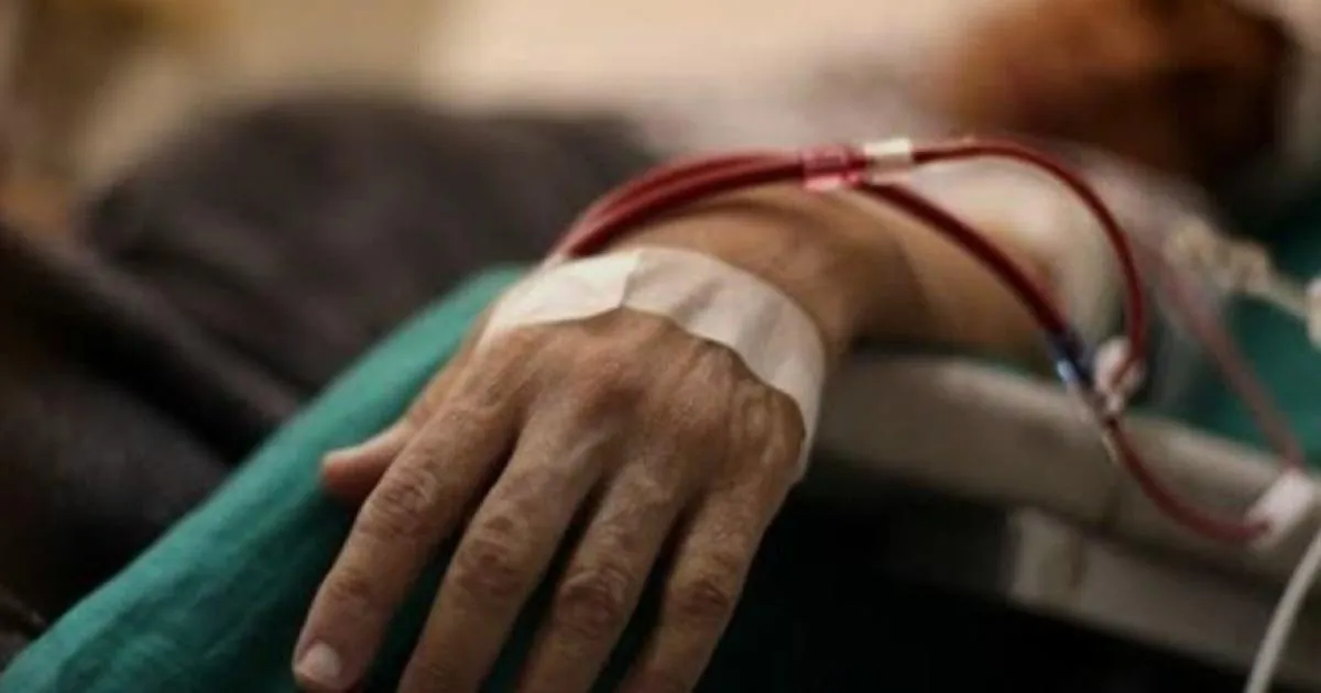 غزة تواجه أخطر موجة كبد وبائي .. 70 ألف إصابة وغياب للفحوصات والتطعيمات